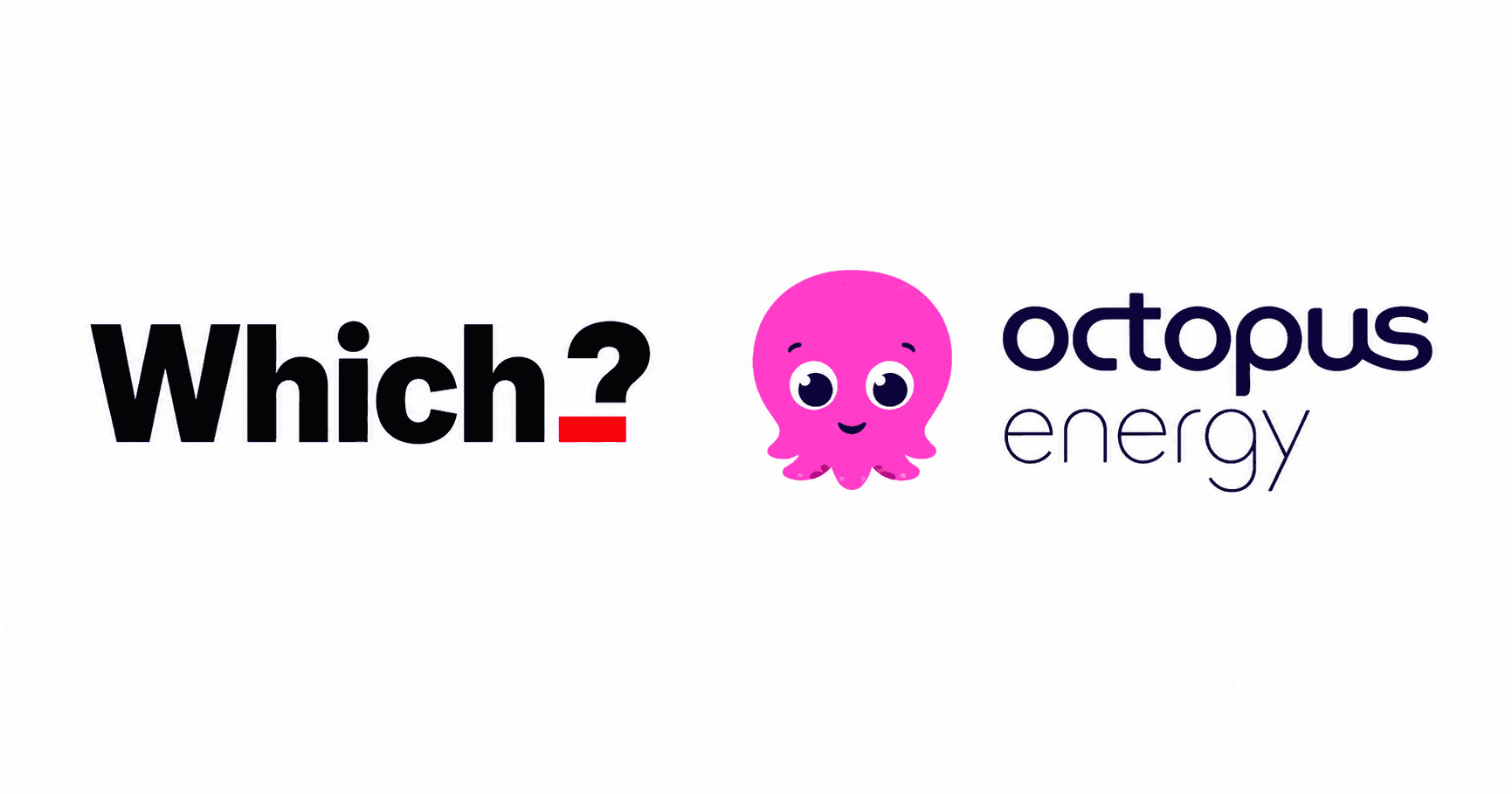 Where this guide disagrees with Which? on Octopus Energy image