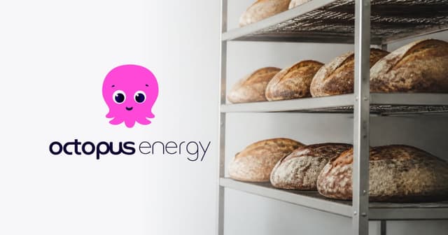 Octopus Energy for Business: what's included and the £75 referral