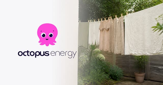 Octopus Energy review: 6 years as a customer
